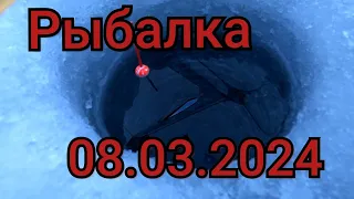 Рыбалка на поплавок 8 марта 2024 г!В этой лунки собралась вся рыба..