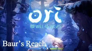 Ori and the Will of the Wisps Walkthrough - Baur's Reach (Part 10)