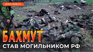 ДОЛЯ БАХМУТА ВИРІШЕНА: ЗСУ показали важливість тактики