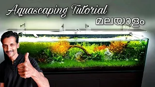 കേരളത്തിൽ വച്ച് ഏറ്റവും മികച്ച aquarium. എങ്ങിനെ ഒരു നല്ല aquascaper ആകാം.