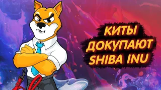 SHIBA INU: КИТЫ ДОКУПАЮТ ШИБУ В ОГРОМНЫХ КОЛИЧЕСТВАХ!/ ПОЧЕМУ НЕТ РОСТА?