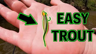 STOCKED TROUT FISHING Too EASY (Pa Trout Fishing 2024)