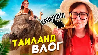 ПОПРОБОВАЛА КРОКОДИЛА, ПОКАТАЛАСЬ НА СЛОНЕ  🏝️ВЛОГ ИЗ ТАИЛАНДА (ПАТТАЙЯ)