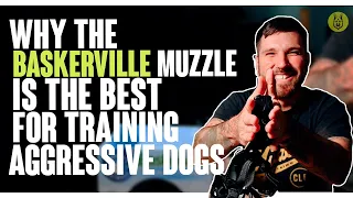 Why The Baskerville Muzzle Is The BEST For Training Aggressive Dogs