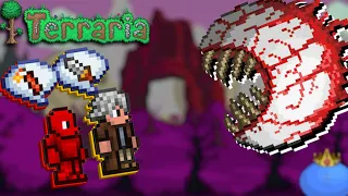 БЛС УБИЛ БОССА? Молвин в Шоке! | Угарная Террария | #3 | #terraria #майншилд  @MOLVINE @Bez_LS