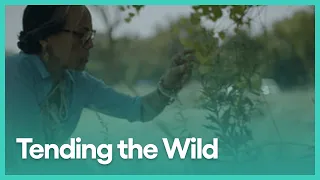 Tending the Wild (Hour Long Special) | KCET