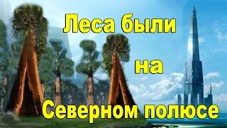 Сейчас на Земле лесов нет! 💎 Они были на Северном полюсе!