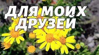 ДЛЯ МОИХ ДРУЗЕЙ!!!Музыкальная открытка!!!