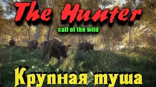 The Hunter Call of the Wild - Крутая добыча