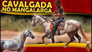 Fui na Cavalgada no Cavalo Mangalarga