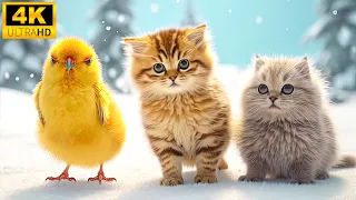 Baby Animals 4K - Funny Young Wild Animals With Relaxing Music (Colorfully Dynamic)