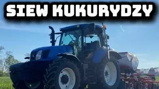 🔥🚨Oporowy siew kukurydzy u GR Grzelak z usługodawcą GR Dziamara🇵🇱🌽NEW HOLLAND T6 w akcji🔥🚨