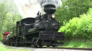 Geared Steam Locomotives in Cass WV