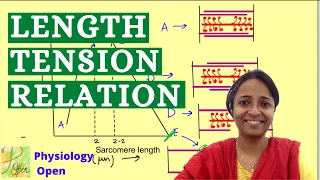 Length tension relationship skeletal muscle | Preload | Nerve muscle physiology mbbs 1st year