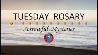 Tuesday Rosary • Sorrowful Mysteries of the Rosary 💜 Early Morning Light at the Shore