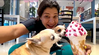 Kids ICE CREAM party at DOG CAFE 🕺| Ss vlogs :-)