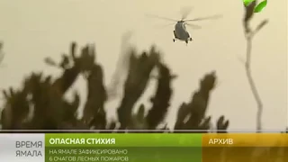 Огонь не сдаётся. В трёх районах округа горят леса