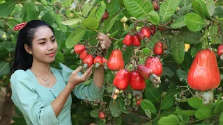 Red cashew fruits in my home land - how to make red cashew fruits salad