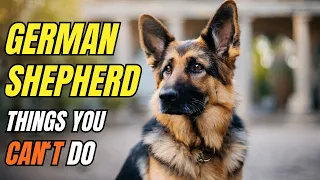 10 Things NOT To Do With Your German Shepherd