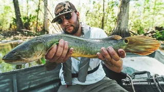 We Caught and ATE This Crazy SWAMP FISH