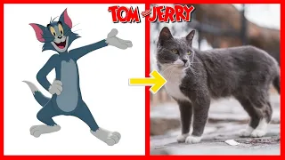 How Tom and Jerry Looks Characters New In Real Life 2024