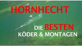 Hornhecht: Die besten Köder, Spots & Montagen zum Hornhechtangeln