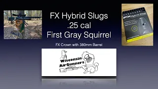 FX Hybrid Slugs in .25 cal Pest Squirrel Dispatch Another Wisconsin AirGunners First!