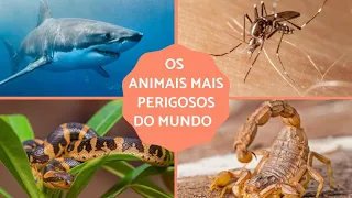 OS 5 ANIMAIS QUE MAIS MATAM NO MUNDO !!!