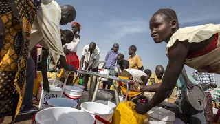 Guinea worm may be next human disease eradicated