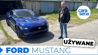 Używany Ford Mustang, czyli auto dla studenta! (TEST PL 4K) | CaroSeria