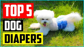 Best Washable Dog Diapers in 2022 Review