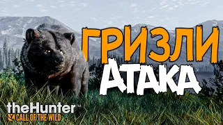 theHunter Call of the Wild  - Медведи Гризли - Опасная охота с ружьём - 2022