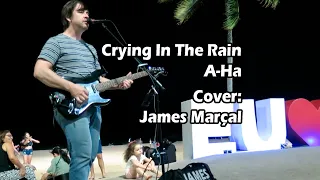 Crying in the Rain (A-Ha) Cover by James Marçal -  Street Musician - Brazil