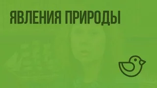 Явления природы. Видеоурок по окружающему миру 2  класс