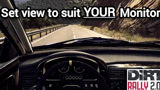 Dirt Rally 2.0 | How to fine tune the view to suit your rig