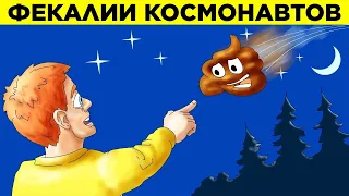 Некоторые Падающие Звезды – Какашки Космонавтов. Парад Фактов 9