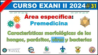 Curso EXANI II 2024 Premedicina: Características morfológicas de los VIRUS #31