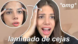 Laminado de cejas FUNCIONA? Planchado de cejas paso a paso | Darlen Am