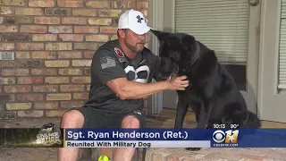 Military Dog Reunited With Soldier 5 Years Later