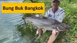 Mekong catfish Fail! Fishing in Thailand Bangkok at BungBuk.