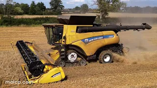 4Kᵁᴴᴰ Harvest 2023: New Holland NH CR9.90 Revelation combine cutting barley near Bredfield, Suffolk