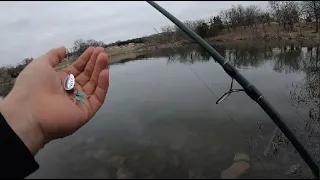 Spring time trout fishing with inline spinner