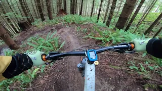 PNW Trip Day 2: Unknown location near Bellingham - the steep one