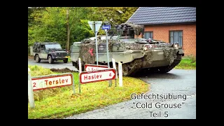 Exercise "Cold Grouse", Teil 5, ´98 Multinationale Gefechtsübung, Sjaelland, Dänemark, PzGrenBtl 411