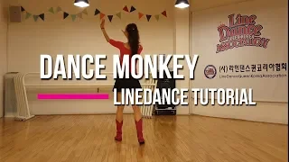 Dance Monkey Line Dance (Beginner) 스텝설명 Alison Johnstone Tutorial l 라인댄스