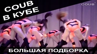 Большая подборка приколов COUB за февраль 2016. COUB В КУБЕ!