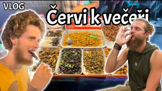 Lidé z vesnice nám navařili brouky - VLOG