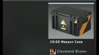 Getting the CS:GO WEAPON CASE 1 as a drop (100$)