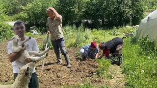 KÖYDE İLK BAHAR~BAHÇE İŞLERİ BAŞLADI~KABAK FASULYE DİKİMİ BELGESEL TADINDA