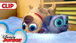 Cleanin' Pup! | Puppy Dog Pals | @disneyjunior